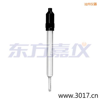 滄州玻璃外殼無溫補兩線電導率電極