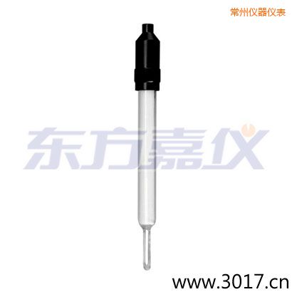 常州玻璃外殼無溫補兩線電導率電極