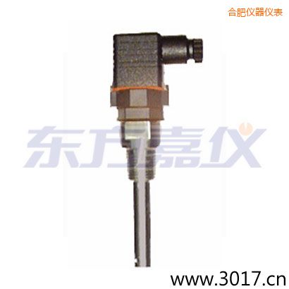 合肥含有溫度的兩線(xiàn)電導(dǎo)率電極