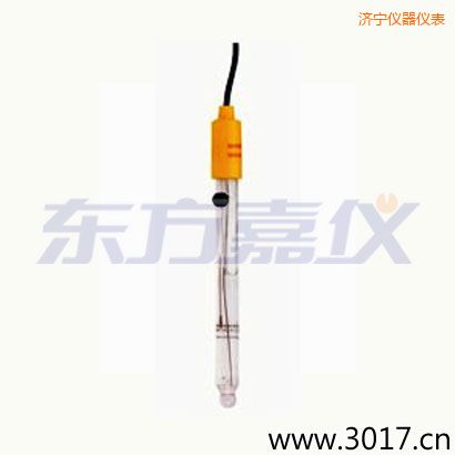 濟(jì)寧可填充玻璃管電極