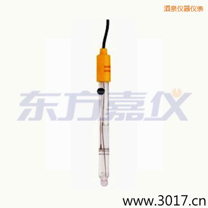 酒泉可填充玻璃管電極