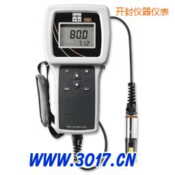 開封便攜式溶解氧測(cè)量?jī)x