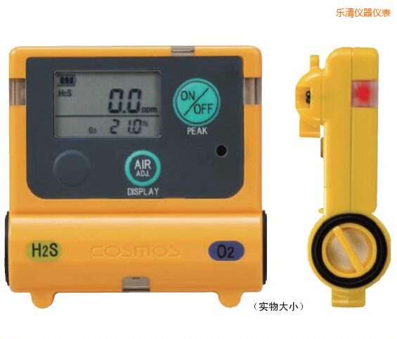 樂清復(fù)合型氣體檢測(cè)器