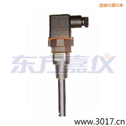 盤(pán)錦含有溫度的兩線電導(dǎo)率電極