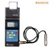 智能涂層測厚儀,型號(hào):TT260+w101,品牌:時(shí)代儀器