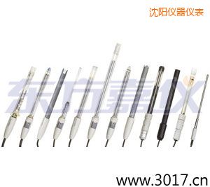 沈陽(yáng)pH電極