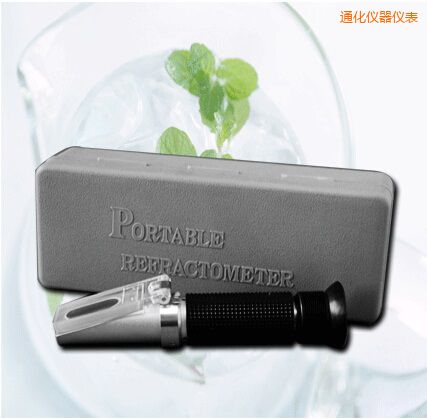 通化手持式食鹽/鹽度快速測(cè)定儀