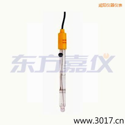 咸陽可填充玻璃管電極