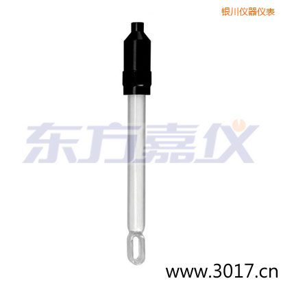 銀川無溫補(bǔ)兩線電導(dǎo)率電極