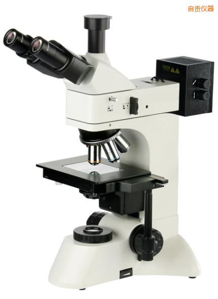 ��ؕ͸��������@΢�R